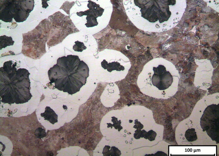 Lightoptical microscopy, cast iron